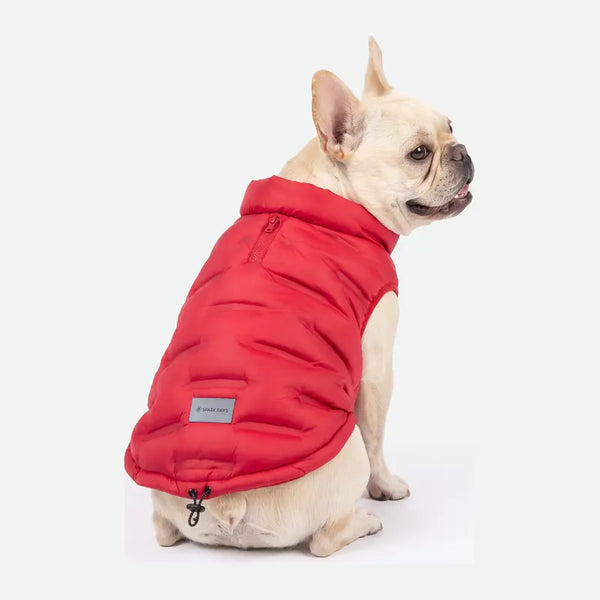 Spark Paws Thermosonic Dog Coat