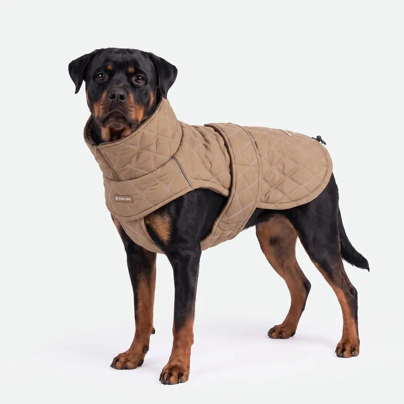 Spark Paws Quilted Dog Winter Coat